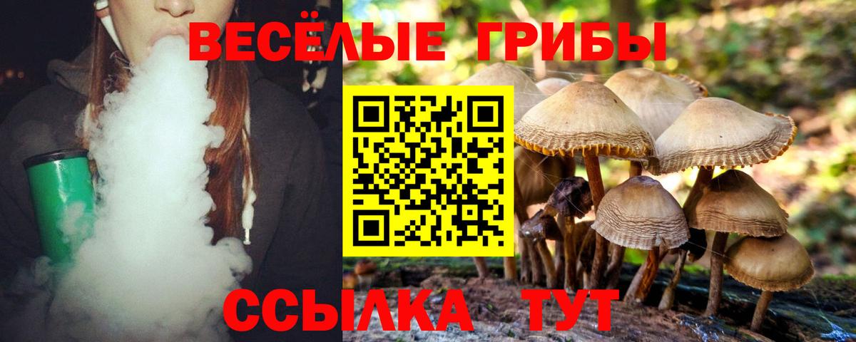 Керчь  Псилоцибиновые грибы мицелий  Вход с VPN 